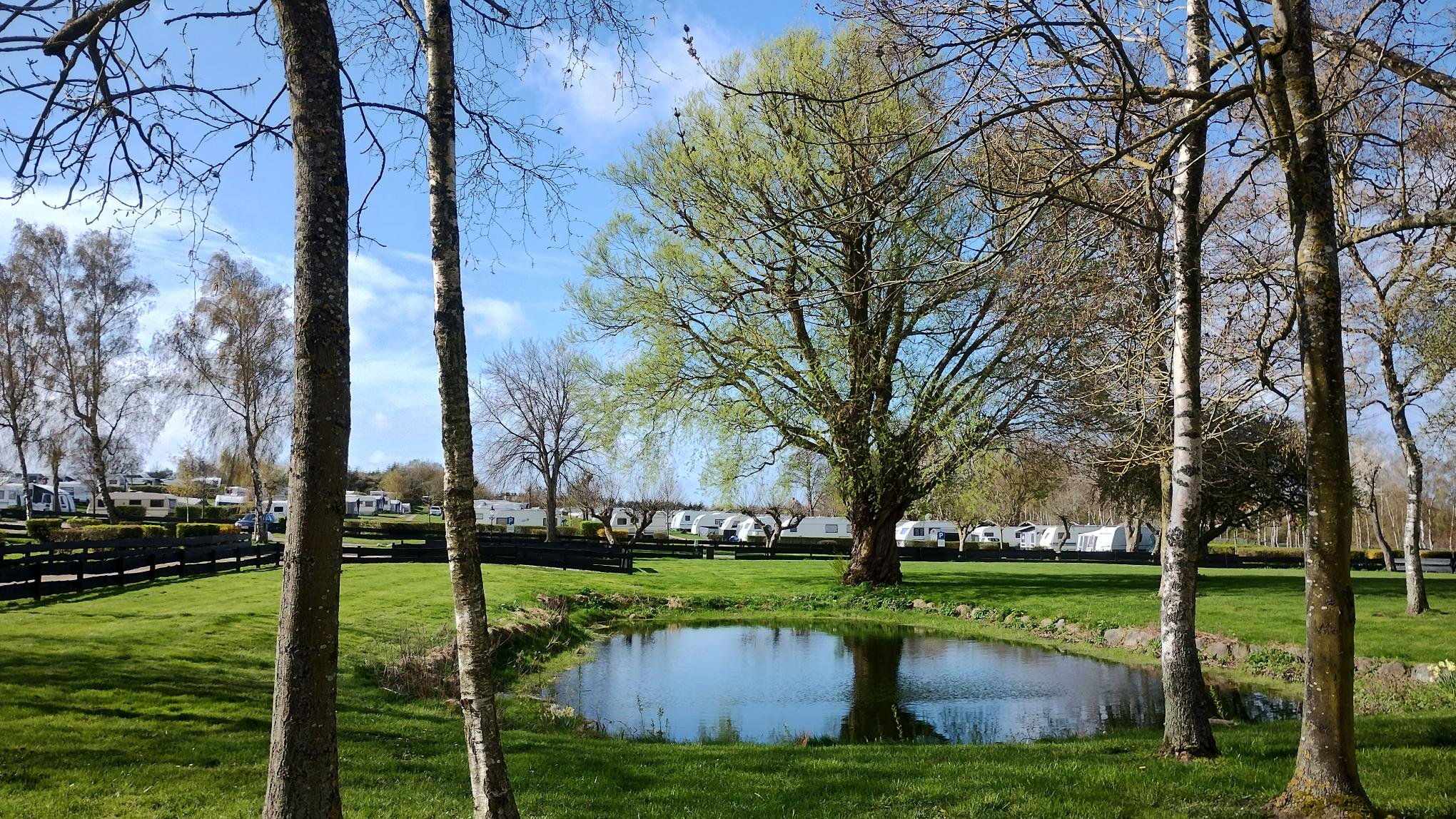 De Hvide Svaner Camping (Karrebæksminde)